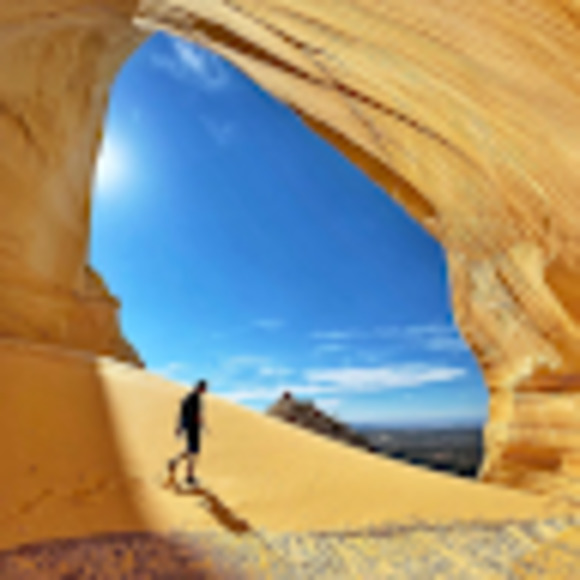 Meet your Posher, Quinn - Picture 1 of 1